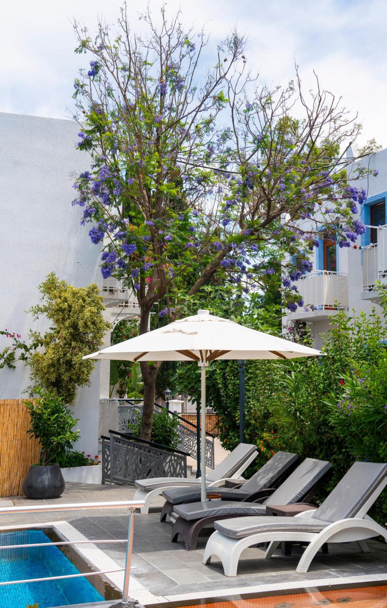 Manuela Boutique Hotel Битез Экстерьер фото